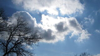 مخبر مصوبه دولت برای ممنوعیت بارورسازی ابرها بدون مجوز را ابلاغ کرد
