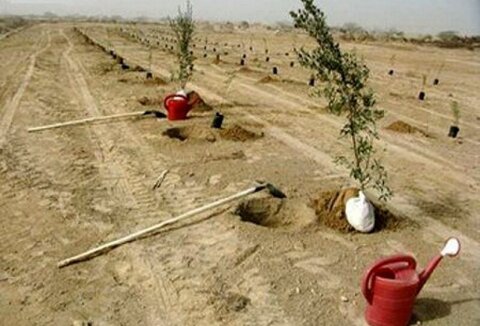 معدن؛ پیش قراول جهاد کاشت یک میلیارد درخت کاری