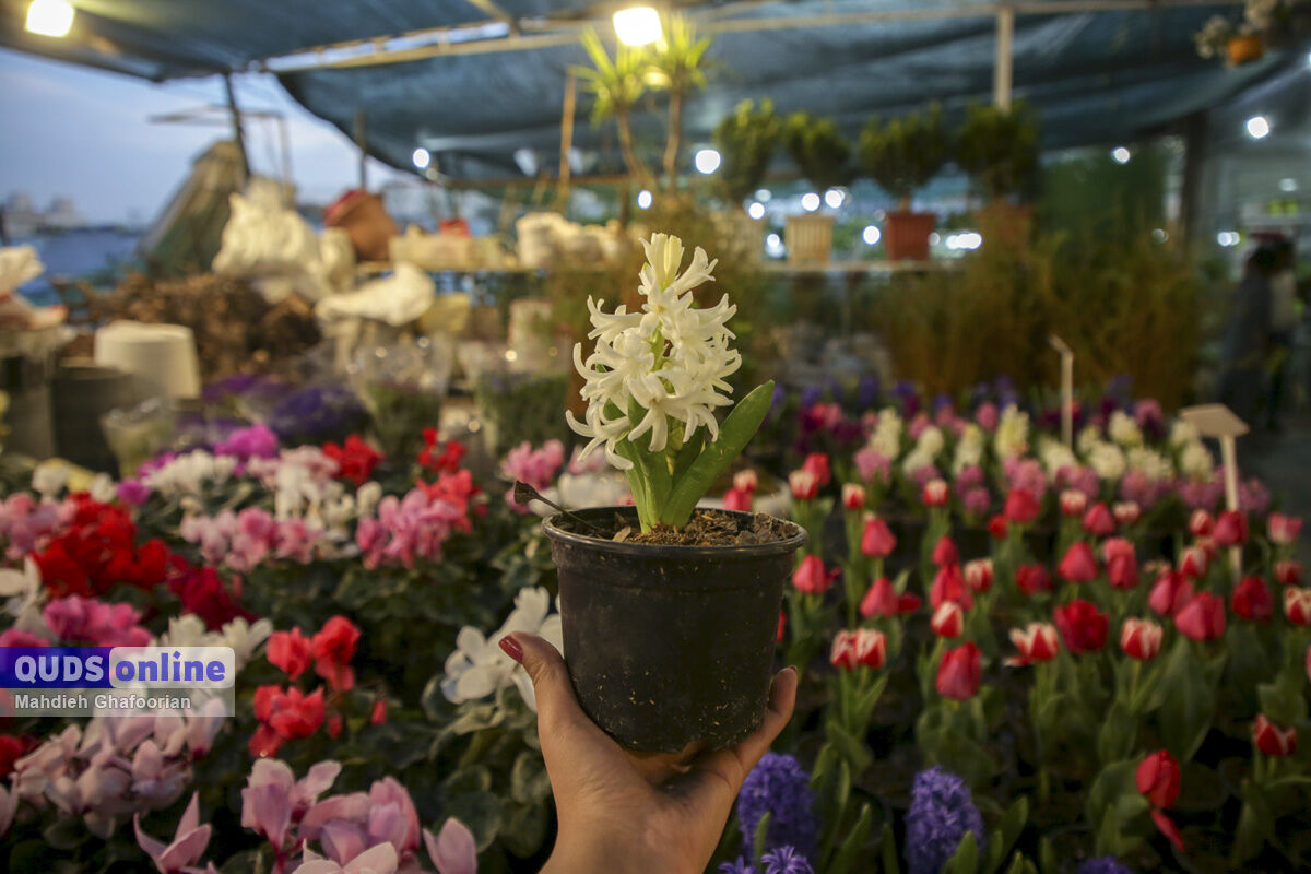 بازار گل مشهد و مشتریان تماشاچی!
