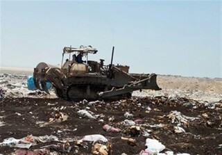 ۵ تن مواد غذایی فاسد در استان بوشهر معدوم شد