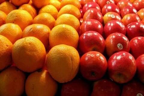 آغاز توزیع میوه تنظیم بازار شب عید ۱۴۰۵ در استان کرمانشاه
