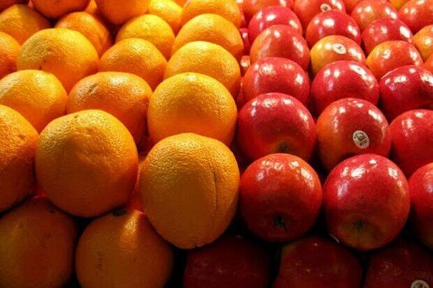 آغاز توزیع میوه تنظیم بازار شب عید ۱۴۰۵ در استان کرمانشاه