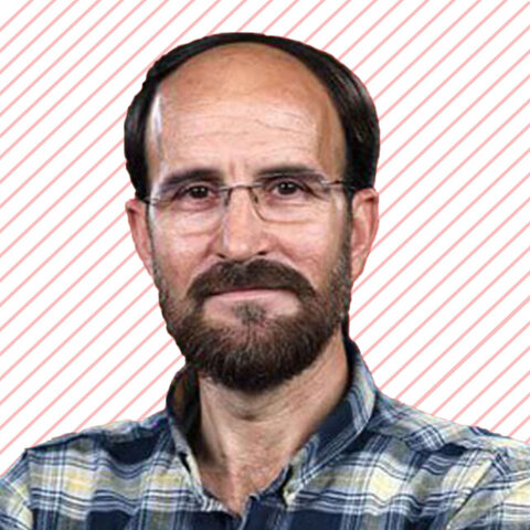 مثلا همه چیز داریم...