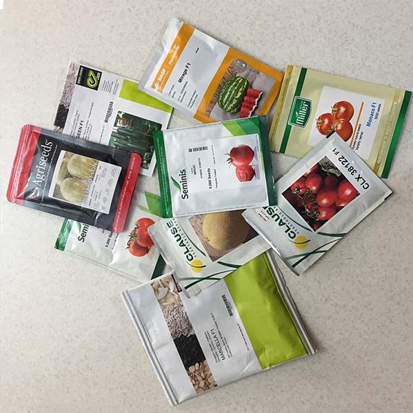 ایران یکی از بزرگترین تولید کنندههای ملون و هندوانه در جهان