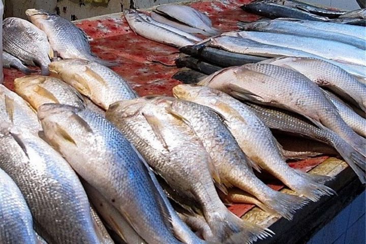 اعلام قیمت روز انواع ماهی