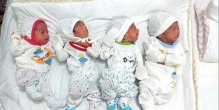 تولد نوزادان ۴ قلو در کرمانشاه