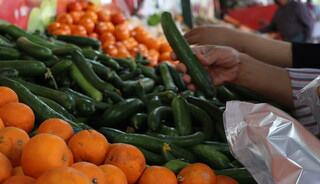 توزیع ٨٠٠ تن میوه تنظیم بازار در مشهد