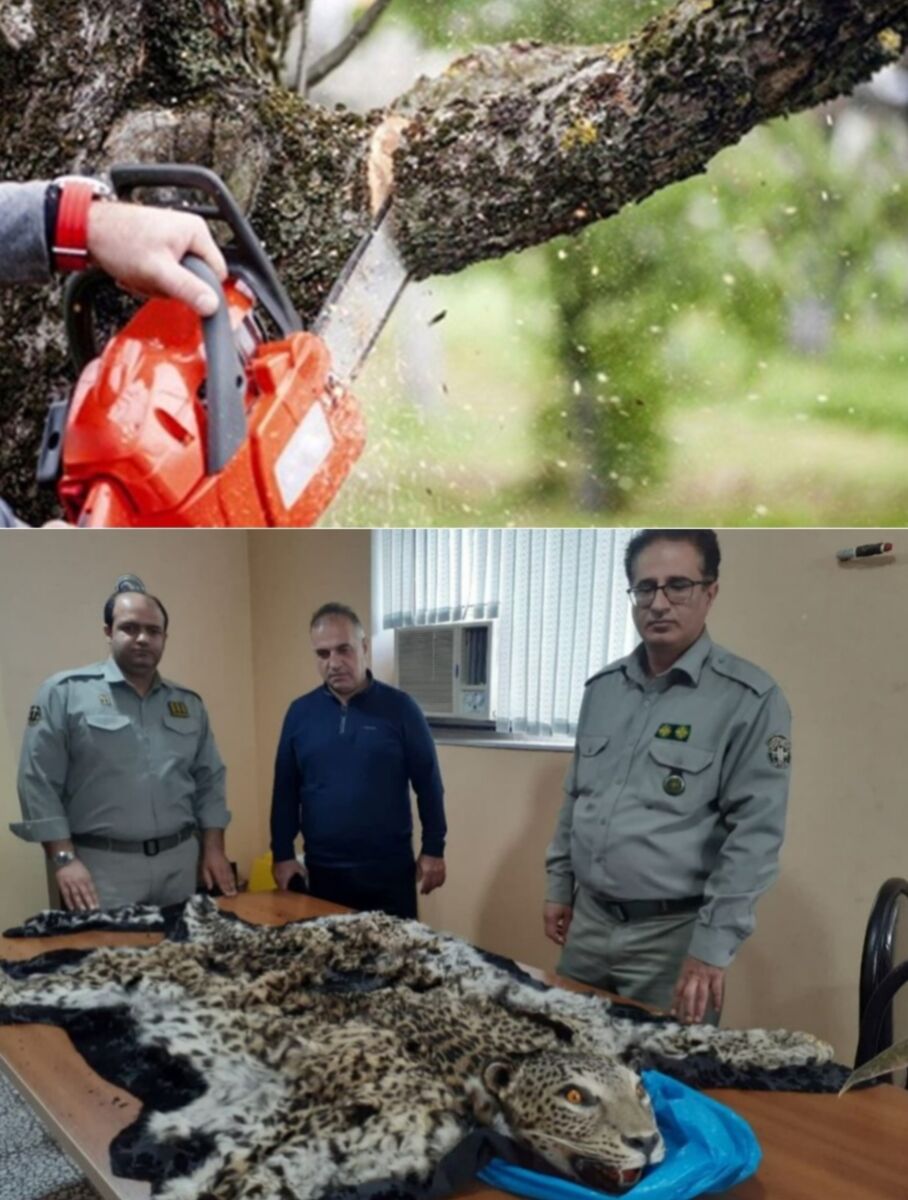 درمان رایگان بیماران سرطانی / جهادگرانی که همیشه پای کارند، حتی در تعطیلات نوروز