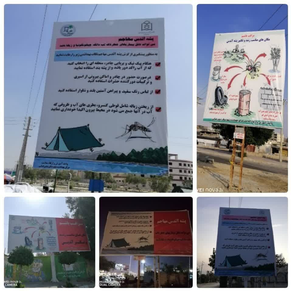 مسافران مراقب گزش پشه آئدس در سفر به هرمزگان باشند