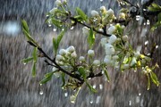 آسمان ایران دوباره بارانی می‌شود