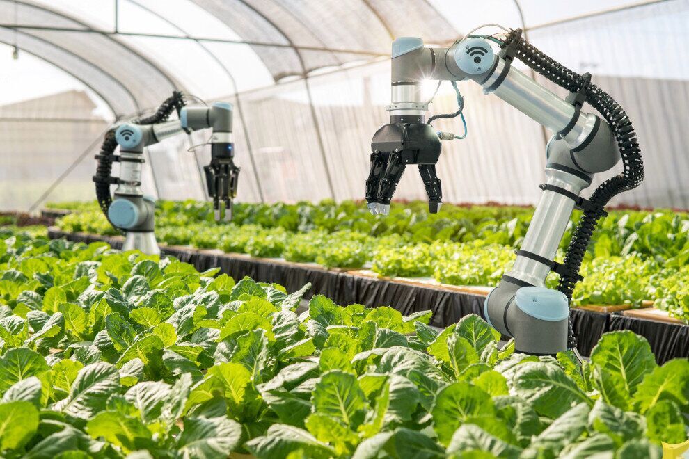 ربات های هوشمند مزرعه به کمک کشاورزان می آید