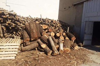 ۳ تن چوب قاچاق در سردشت کشف شد