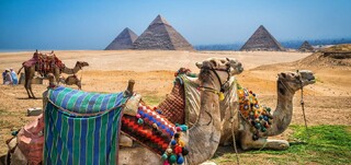 برگزاری هر نوع تور گردشگری به مقصد مصر مورد تایید نیست