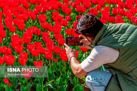 گزارش تصویری I ایرانِ زیبا؛ نهمین جشنواره لاله‌ کرج