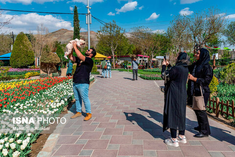 گزارش تصویری I ایرانِ زیبا؛ نهمین جشنواره لاله‌ کرج
