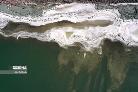 گزارش تصویری I بازگشت زندگی به دریاچه ارومیه