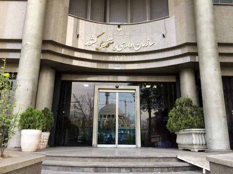 جزئیات انتشار فراخوان جذب ۵۰۰ مدیر در دولت اعلام شد