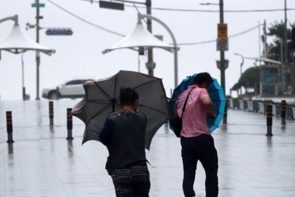 هشدار مدیریت بحران برای تداوم باد شدید در پایتخت
