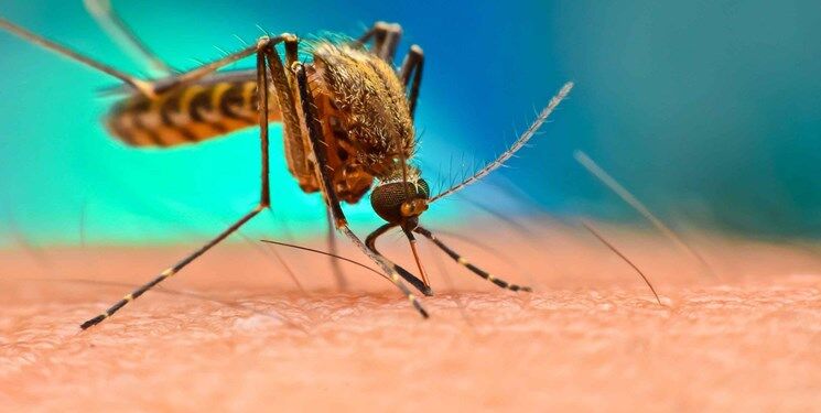 علت افزایش ابتلا به مالاریا در رودان چیست؟