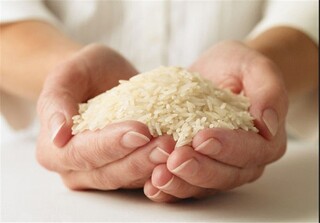 هدف‌گذاری برای خودکفایی در تولید برنج در کشور