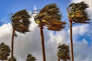 کارشناس هواشناسی بوشهر: افزایش سرعت وزش باد در استان بوشهر/ خلیج فارس متلاطم می‌شود