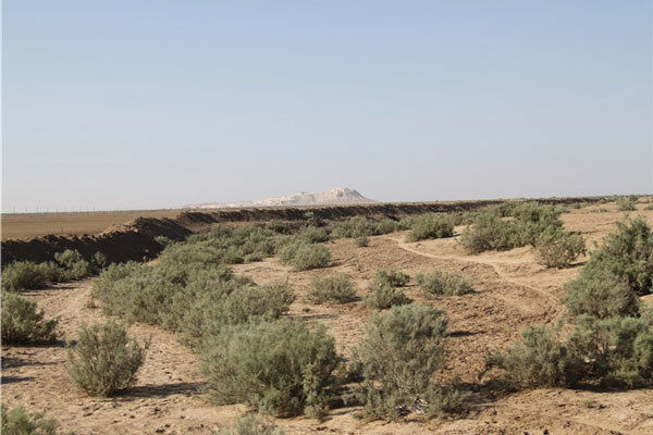 برخورد با بیش از ۱۳۶۰ چاه غیرمجاز در استان قزوین