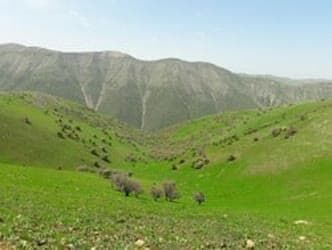 اجرای طرح ممیزی اراضی در بیش از ۸ هزار هکتار شهرستان فیروزه 
