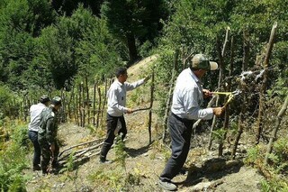 آزادسازی اراضی ملی و جنگلی در مازندران