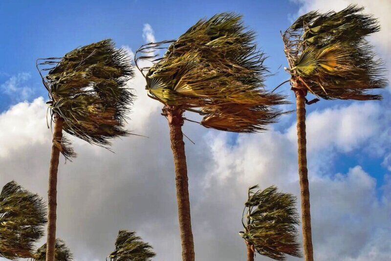 امروز رخ می دهد؛ وزش باد شدید در ۷ استان 
