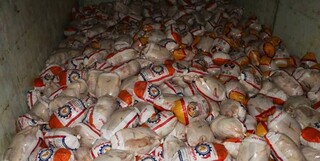 جلوگیری از خروج محموله ۷۰ تنی مرغ قاچاق در مرز شلمچه