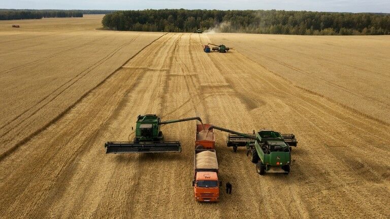 واکاوی ابعاد اصلاح نرخ خرید تضمینی گندم/ آیا امسال هم مجبور به واردات گندم میشویم؟