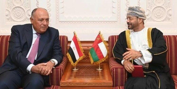 رایزنی وزیر خارجه عمان با همتایان مصری و اماراتی درباره منطقه