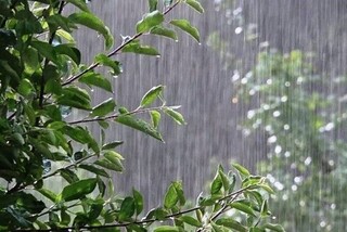 تداوم باران و رعدوبرق در برخی استان‌ها