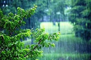 تداوم رگبار پراکنده باران و وزش باد/ورود سامانه بارشی به کشور طی چند روز آینده
