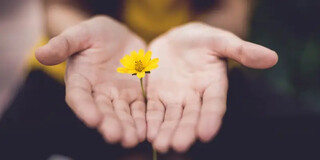 «بخشش» می‌تواند سلامت شما را افزایش دهد