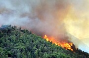 آخرین وضعیت آتش‌سوزی جنگل‌ها در غرب کشور