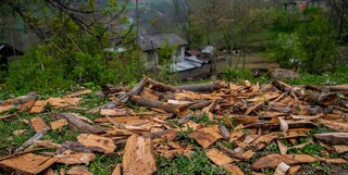 نزاع دسته‌جمعی در روستای حسین‌آباد جنگل نیشابور/ ۵ نفر زخمی و ۱۵ تن دستگیر شدند