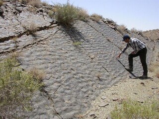 اجرای بزرگترین پیمایش زمین‌شناسی در کشور