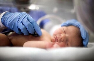 آمار کاهشی ولادت در همدان