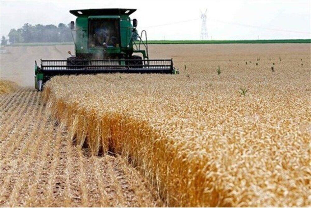 رئیس کمیسیون کشاورزی مجلس: قیمت گندم افزایش می‌یابد