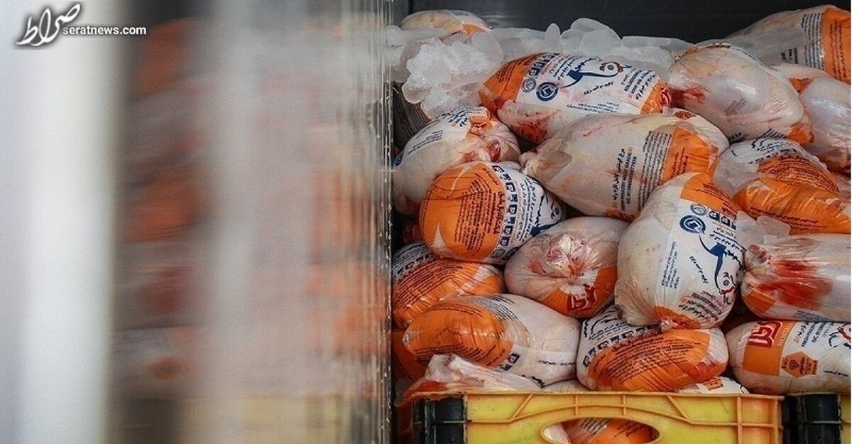 قیمت مرغ در بازار تعدیل می شود