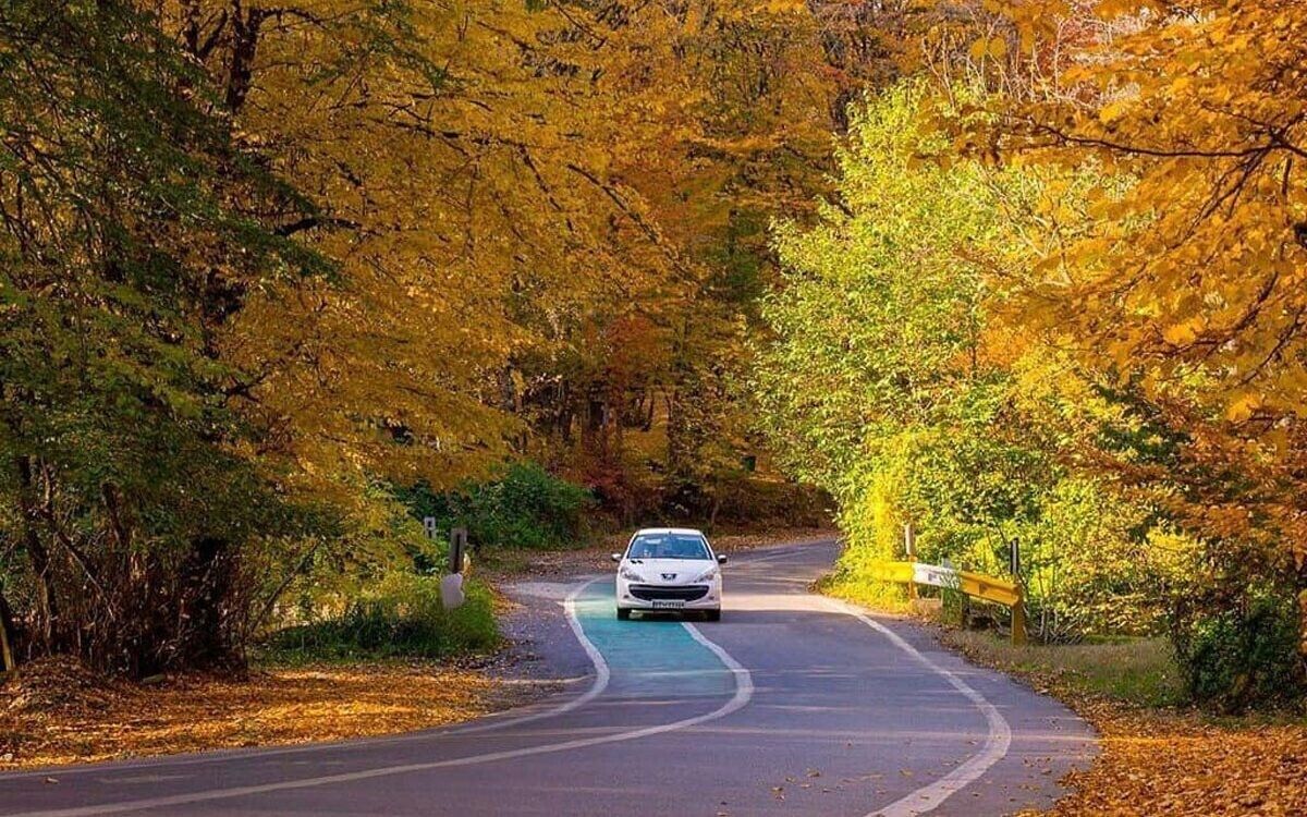 وجود بیش از ۱۴ میلیون هکتار جنگل در کشور