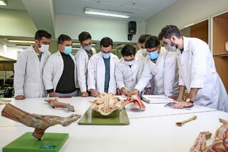 سیستم جامع رتبه بندی دانشگاه های علوم پزشکی اجرایی می شود