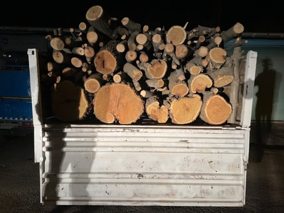 چهار تن چوب‌آلات قاچاق جنگلی در استان اردبیل کشف شد