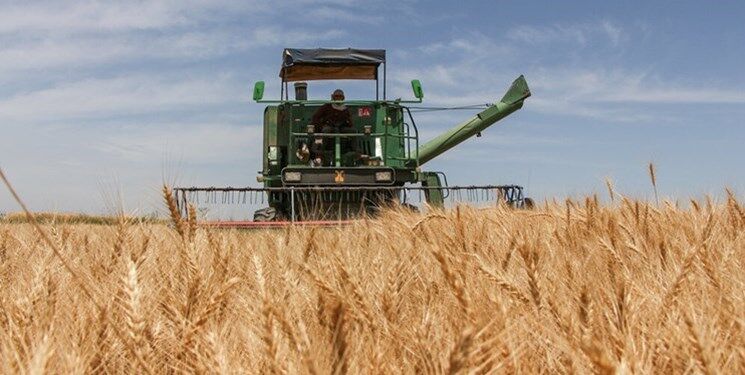 رشد ۳۲ درصدی خرید گندم از کشاورزان/ خرید تضمینی گندم به یک میلیون تُن رسید 
