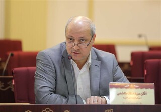 هاشمی: تکلیف کاروان ایران باید تا ۱۰ روز آینده نهایی شود