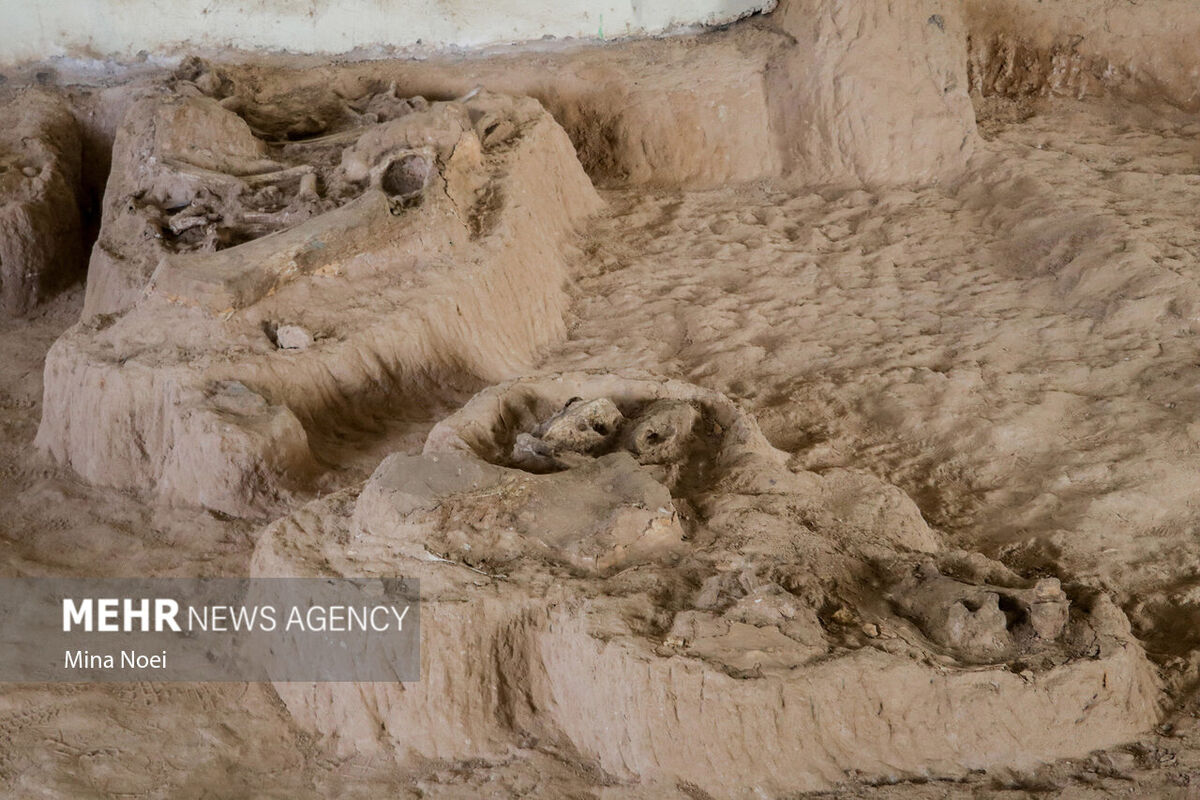 کشف فسیل ۲ هزار ساله در اسلامشهر