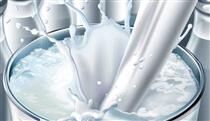 افزایش قیمت شیر ۳۰ درصد بر قیمت لبنیات می‌افزاید
