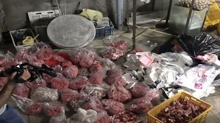 کشف یک هزار و ۴۰۰ کیلوگرم گوشت چرخ‌کرده بدون تاریخ مصرف در مشهد