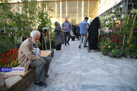 گزارش تصویری I بیستمین نمایشگاه گل و گیاه مشهد